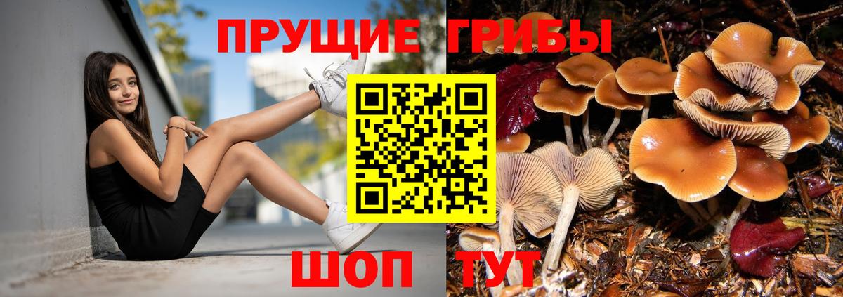 Хасавюрт  наркотики  Вход с VPN  Галлюциногенные грибы прущие грибы 